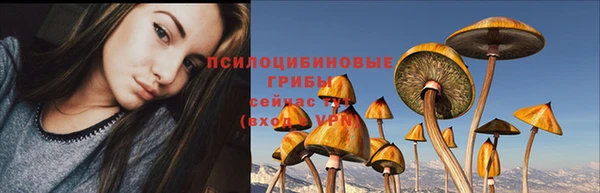 гидра Балабаново