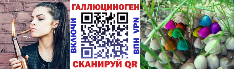 Псилоцибиновые грибы MAGIC MUSHROOMS  Верея 
